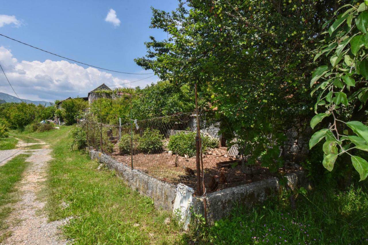 Family Tradition Danilovgrad Εξωτερικό φωτογραφία